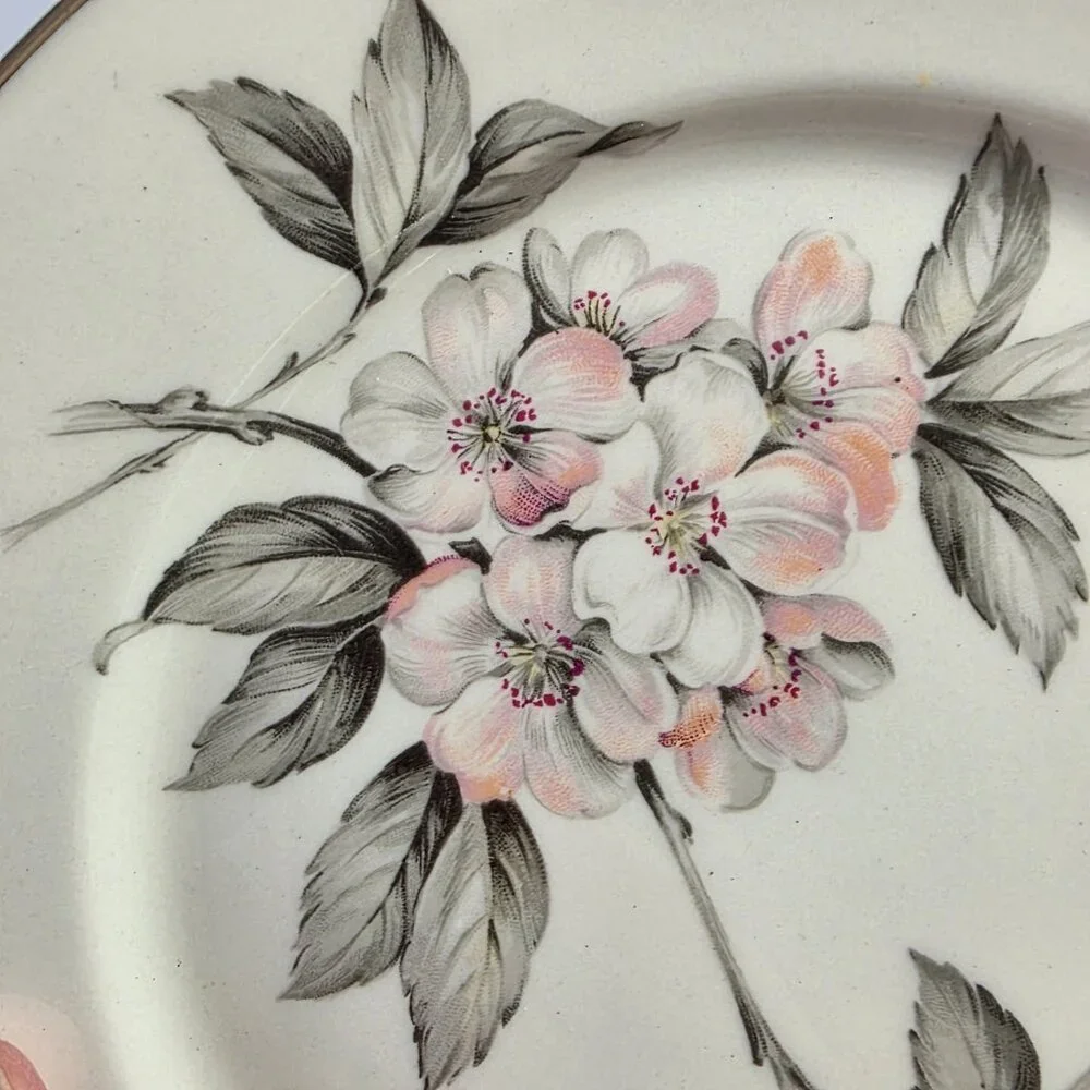 TWO Manor House Spring Glory Salad Plates Pink & White Floral Gray Leaves